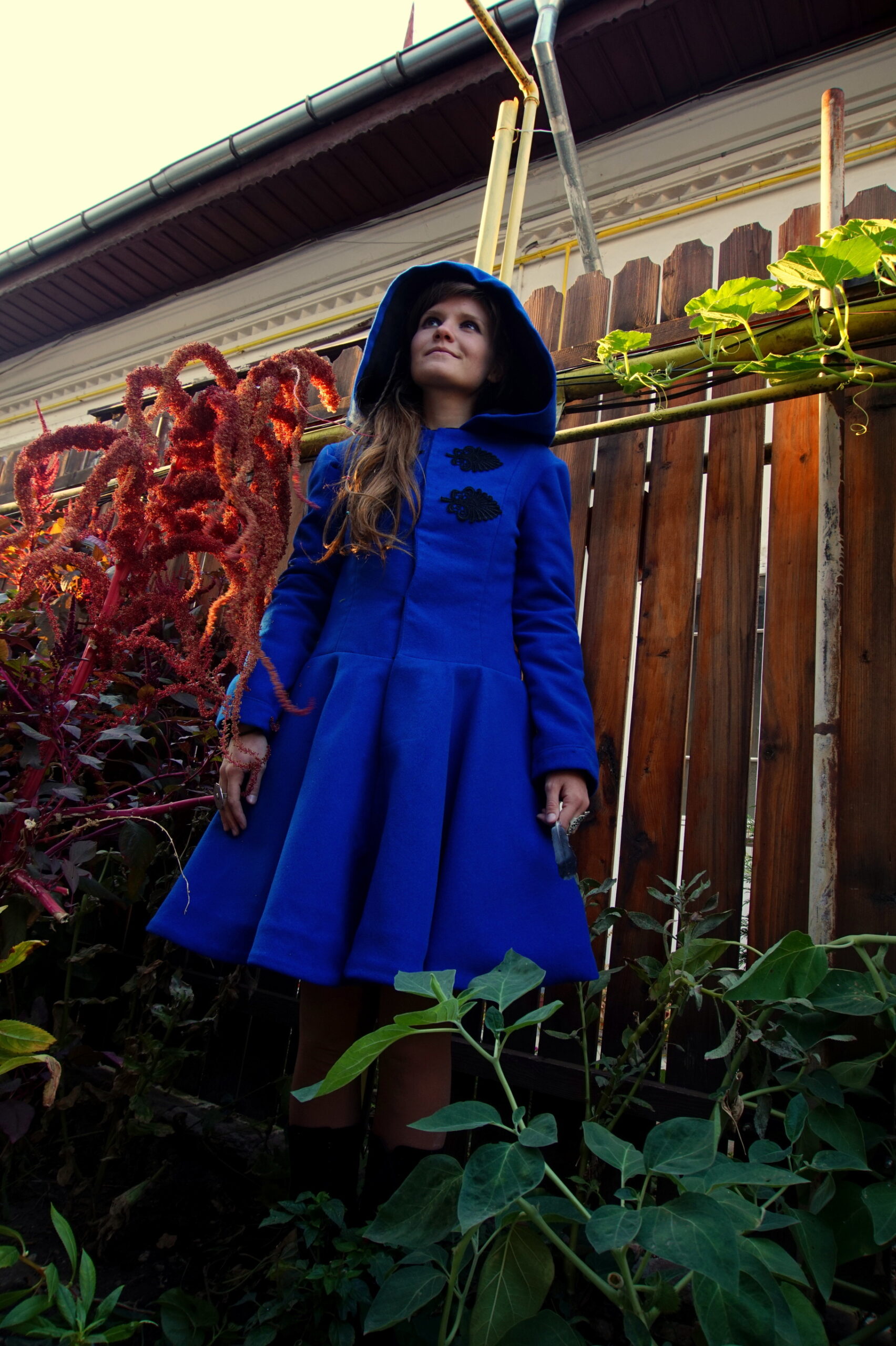 Blue Desire - Image 6