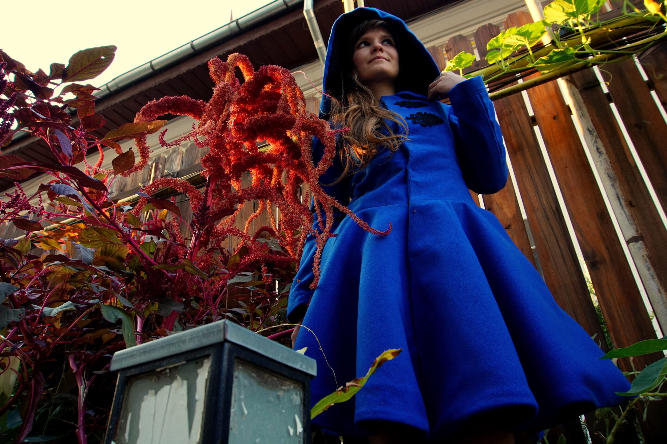 Blue Desire - Image 7