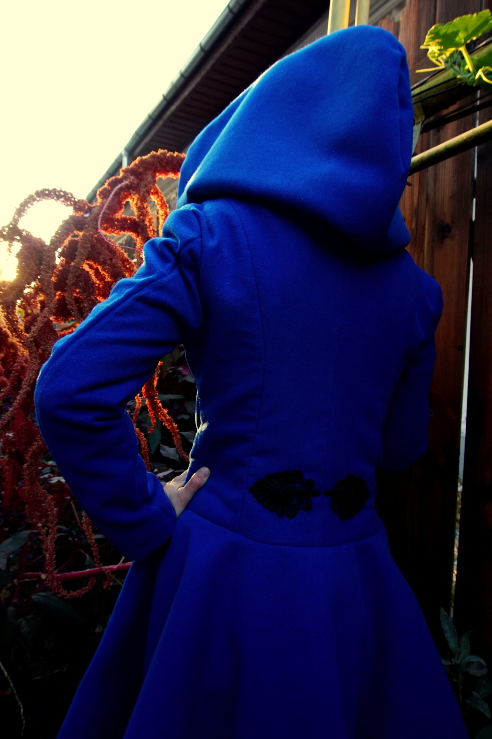 Blue Desire - Image 4